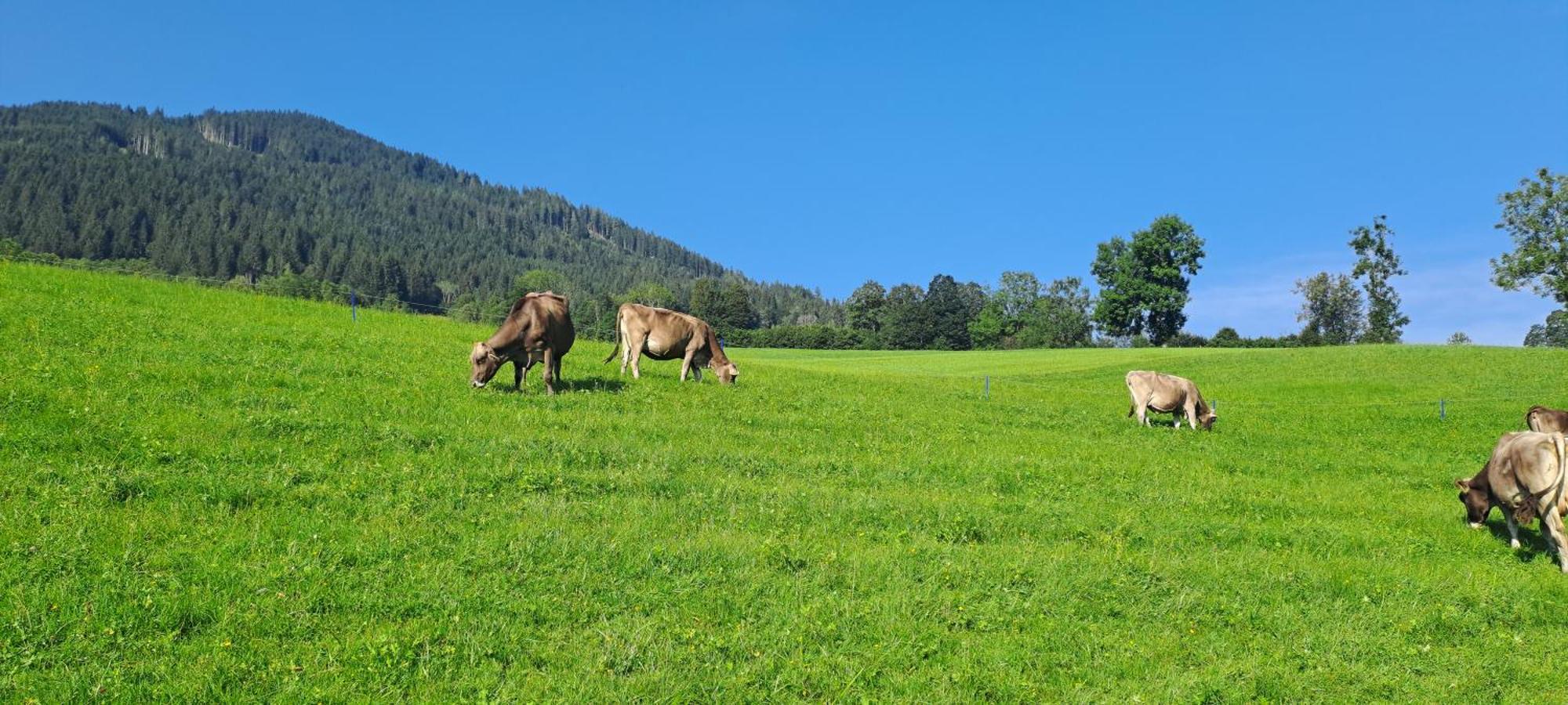 Ferienwohnung Steinernes Meer Maria Alm am Steinernen Meer Exterior foto